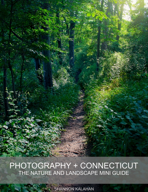 New "PHOTOGRAPHY + CONNECTICUT" e-book!